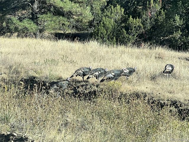 13045 Picketwire Road, Boncarbo, CO 81024