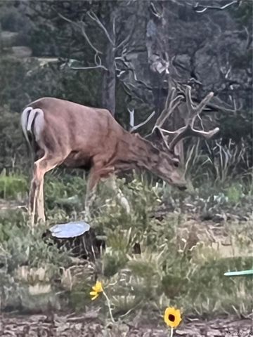 13045 Picketwire Road, Boncarbo, CO 81024