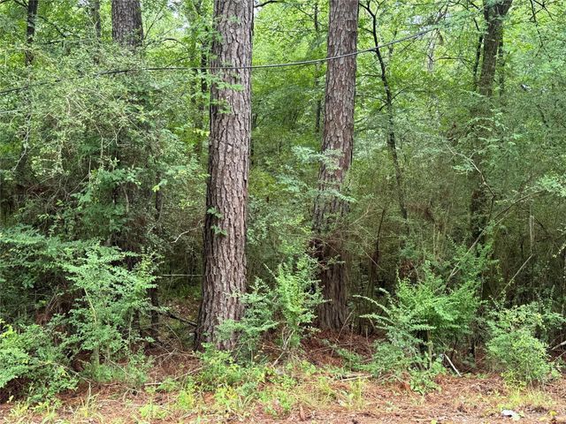 Tract B Lake Road, Riverside, TX 77320