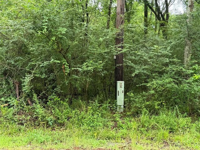 Tract B Lake Road, Riverside, TX 77320