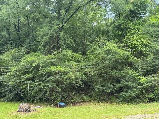 Tract B Lake Road, Riverside, TX 77320