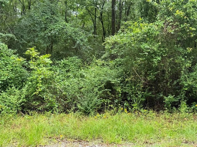 Tract B Lake Road, Riverside, TX 77320