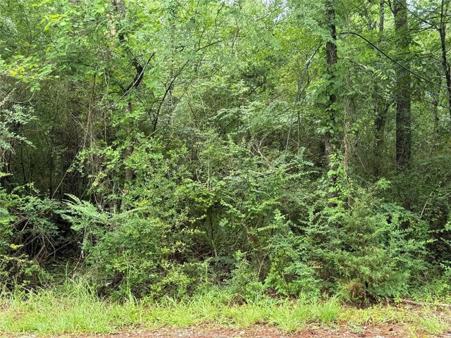 Tract B Lake Road, Riverside, TX 77320