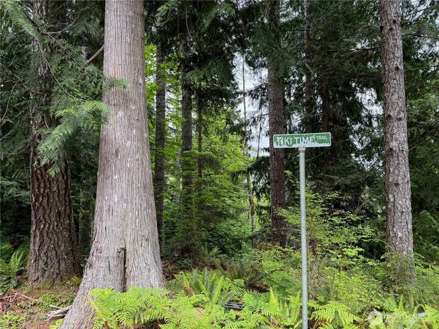 650 W Cushman Ridge Drive, Hoodsport, WA 98548