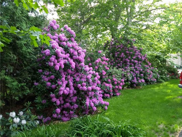 227 Irving Avenue, Providence, RI 02906