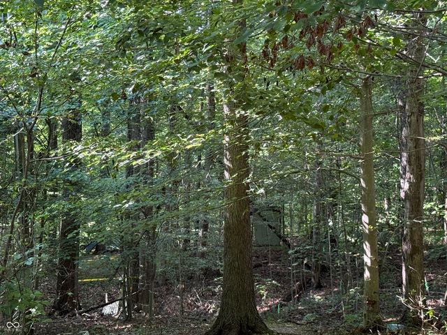 8401 Buffalo Road, Poland, IN 47868