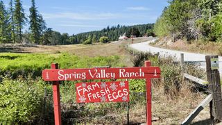 131 Country Lane Ln, Newport, WA 99156
