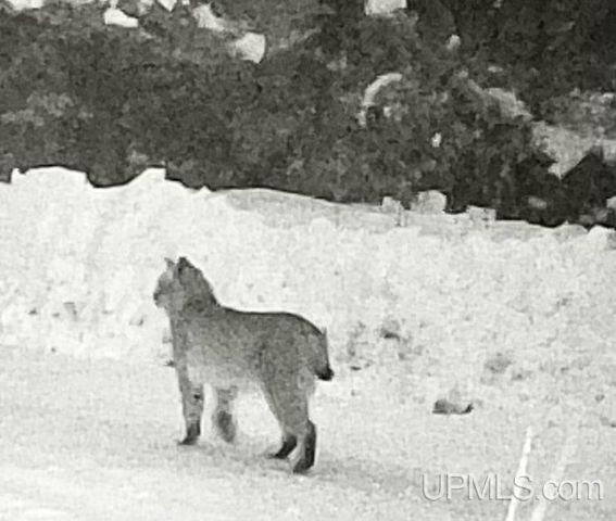 4935 Co. 511 Y.5 Road, Rapid River, MI 49878