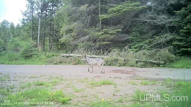 4935 Co. 511 Y.5 Road, Rapid River, MI 49878