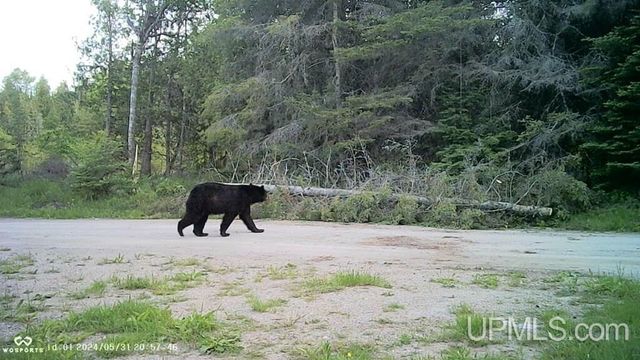 4935 Co. 511 Y.5 Road, Rapid River, MI 49878