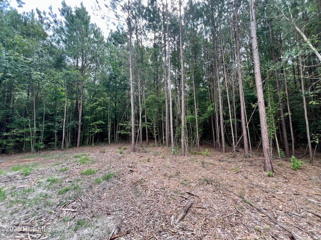 0 Boss Mclawhorn Road, Grifton, NC 28530