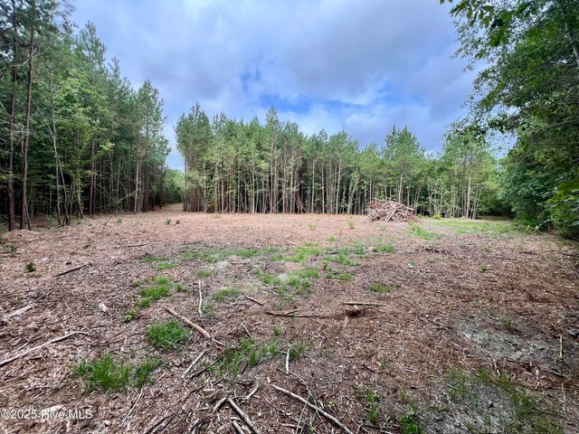 0 Boss Mclawhorn Road, Grifton, NC 28530