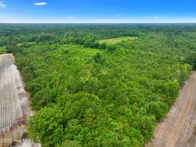 0 Boss Mclawhorn Road, Grifton, NC 28530