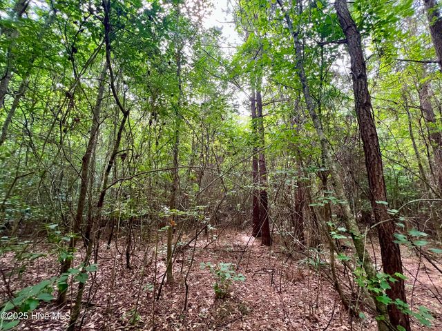 0 Boss Mclawhorn Road, Grifton, NC 28530