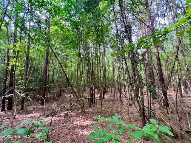 0 Boss Mclawhorn Road, Grifton, NC 28530