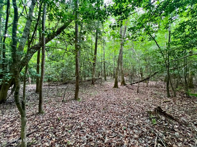 0 Boss Mclawhorn Road, Grifton, NC 28530