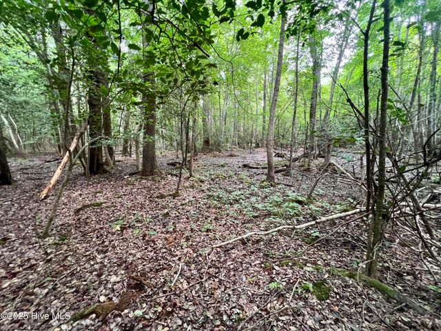 0 Boss Mclawhorn Road, Grifton, NC 28530