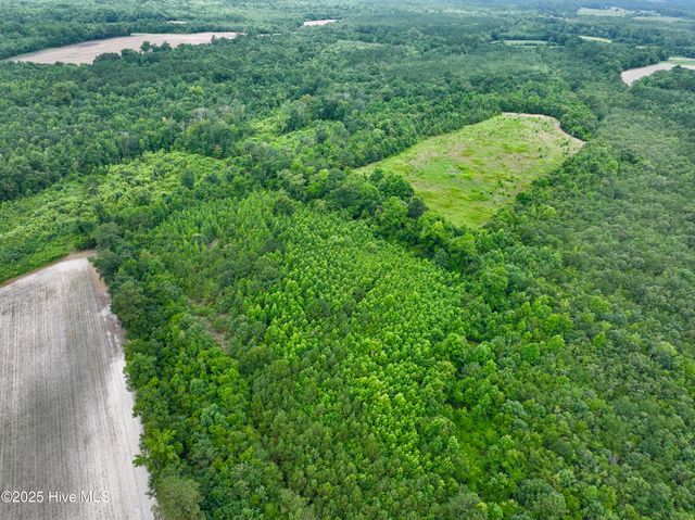 0 Boss Mclawhorn Road, Grifton, NC 28530