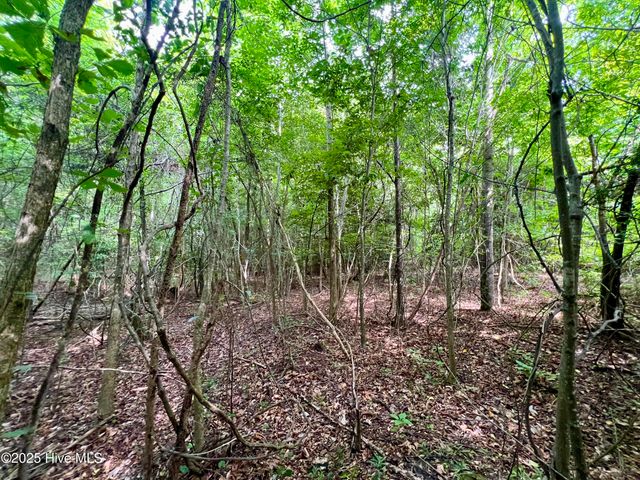 0 Boss Mclawhorn Road, Grifton, NC 28530