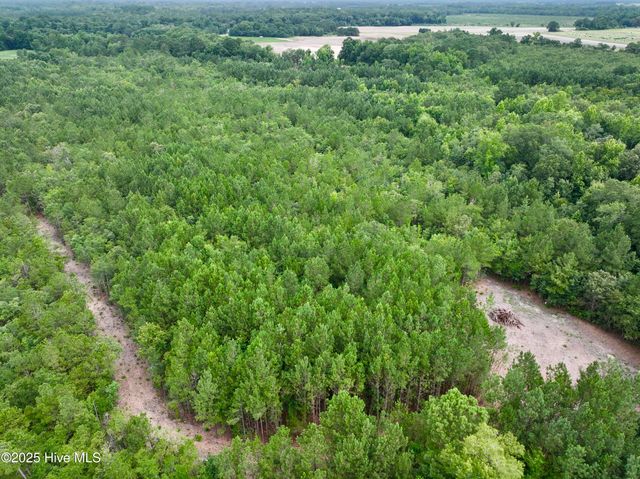 0 Boss Mclawhorn Road, Grifton, NC 28530
