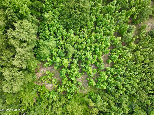 0 Boss Mclawhorn Road, Grifton, NC 28530