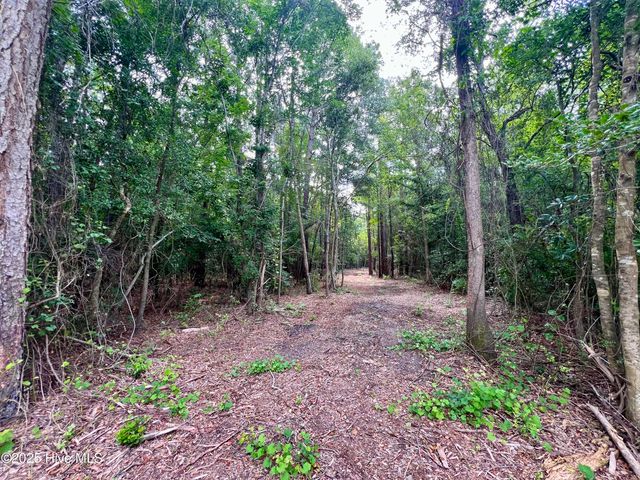 0 Boss Mclawhorn Road, Grifton, NC 28530