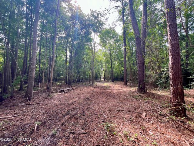 0 Boss Mclawhorn Road, Grifton, NC 28530