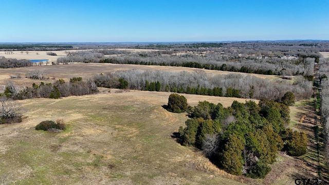 4101 CR 3703, Athens, TX 75752