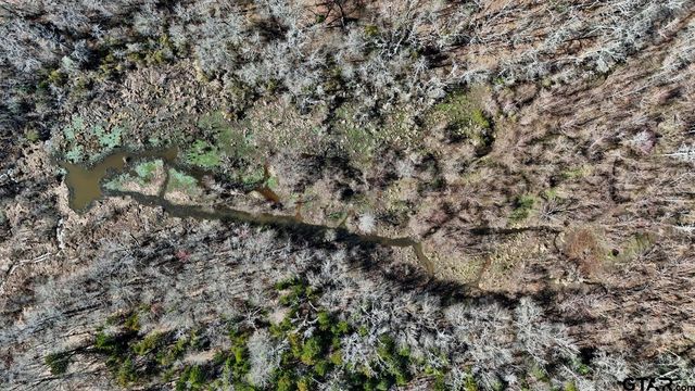 4101 CR 3703, Athens, TX 75752