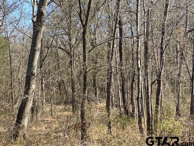 4101 CR 3703, Athens, TX 75752
