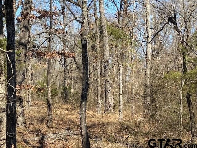 4101 CR 3703, Athens, TX 75752
