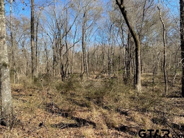 4101 CR 3703, Athens, TX 75752