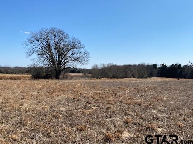 4101 CR 3703, Athens, TX 75752
