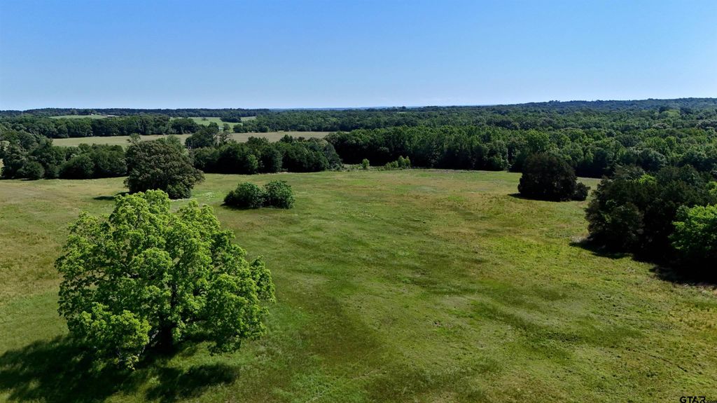 4101 CR 3703, Athens, TX 75752