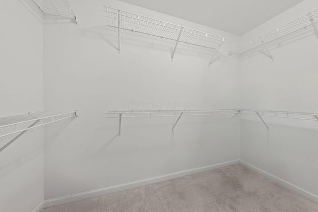 3864 Brody Drive, Grove City, OH 43123