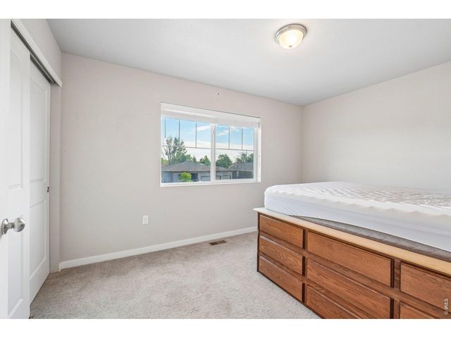 3801 Beech Tree St, Wellington, CO 80549