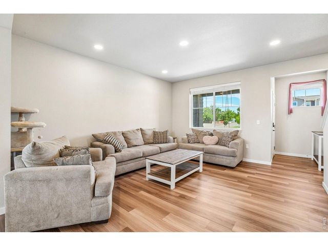 3801 Beech Tree St, Wellington, CO 80549
