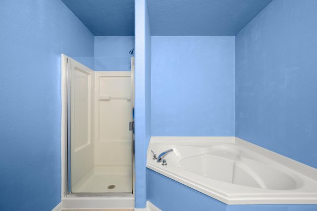 13312 Nelson Houser ST, Manor, TX 78653