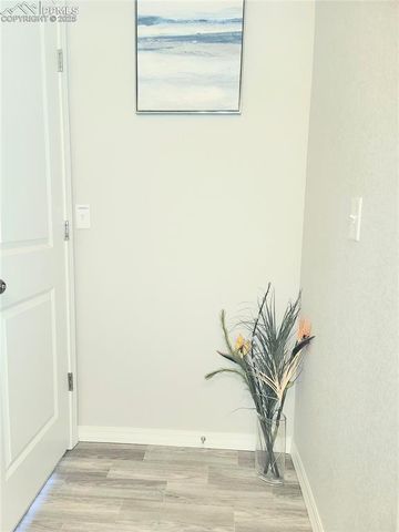 4512 Samaritan Loop, Colorado Springs, CO 80916