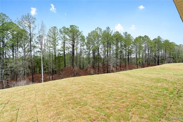 13910 Sir Lancelot Dr, Tuscaloosa, AL 35405