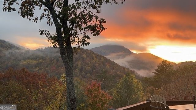101 Falling Rock Road, Blue Ridge, GA 30513