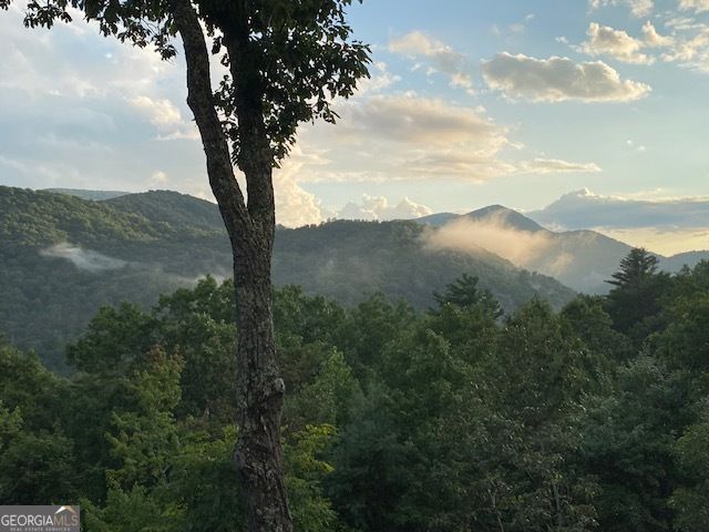 101 Falling Rock Road, Blue Ridge, GA 30513