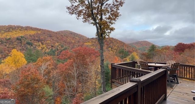 101 Falling Rock Road, Blue Ridge, GA 30513