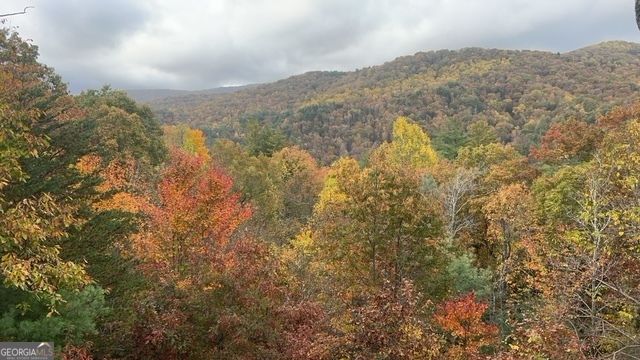 101 Falling Rock Road, Blue Ridge, GA 30513