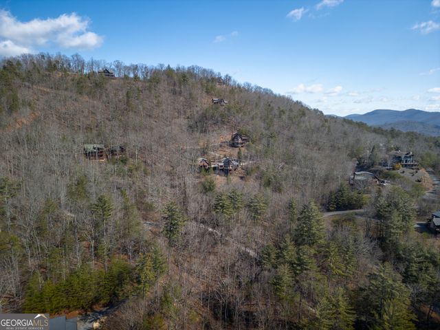 101 Falling Rock Road, Blue Ridge, GA 30513