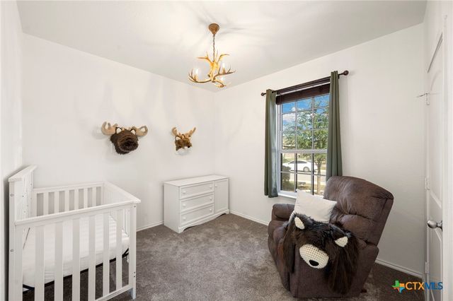 2838 Ridge Berry Road, New Braunfels, TX 78130