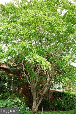 1755 UPSHUR ST NW, Washington, DC 20011