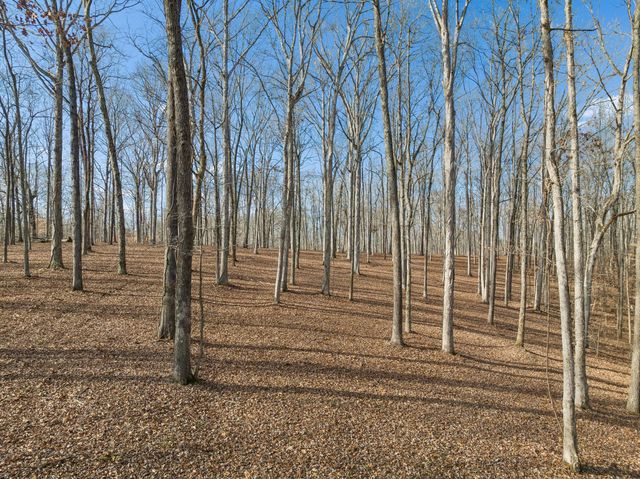 2 Peach Hollow Road, Franklin, TN 37064