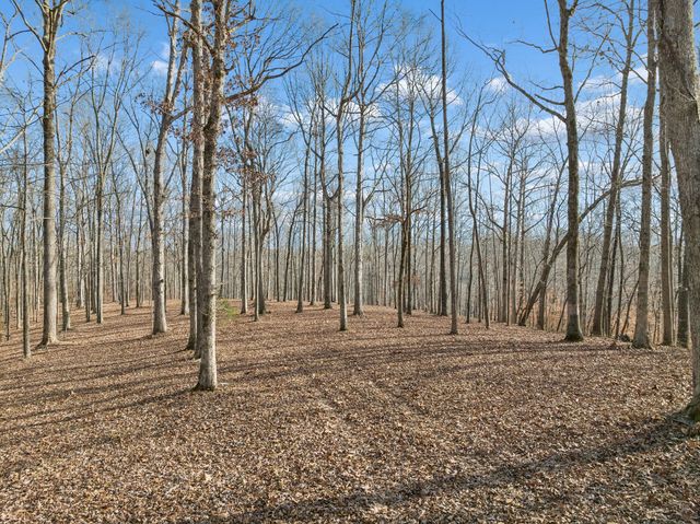 2 Peach Hollow Road, Franklin, TN 37064