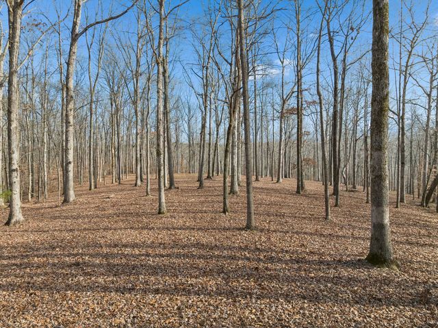 2 Peach Hollow Road, Franklin, TN 37064